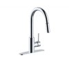 Pull-Down Spray Single Handle Faucet with Plate